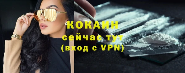 стафф Осинники
