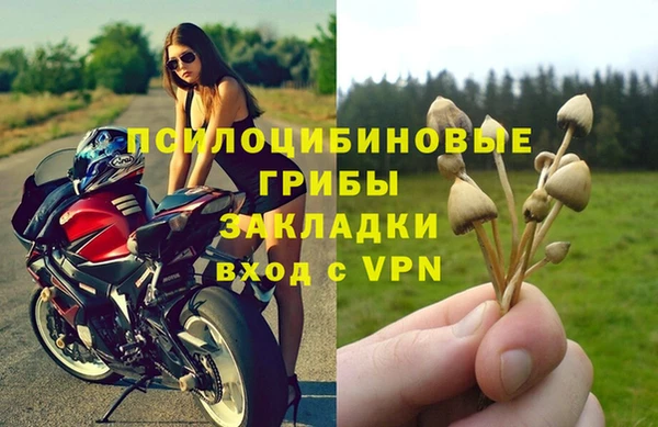 Альфа ПВП Пестово