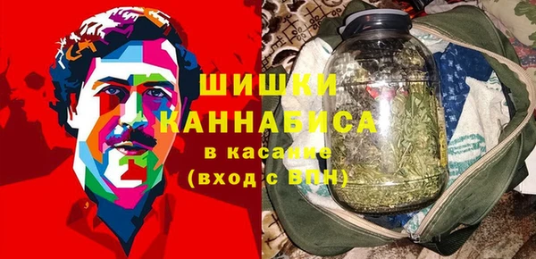 ALPHA PVP Переславль-Залесский